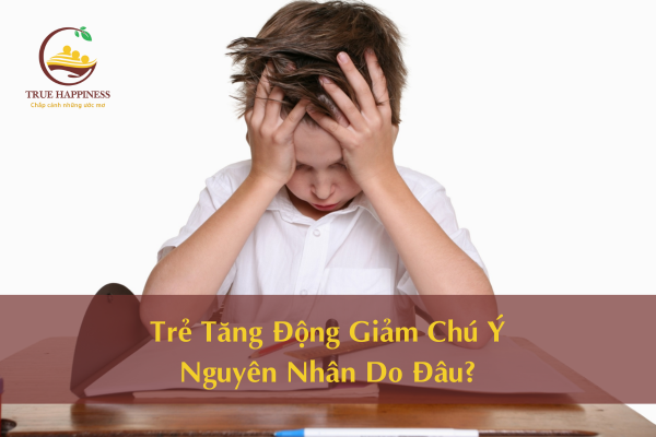 Trẻ Tăng Động Giảm Chú Ý Nguyên Nhân Do Đâu?