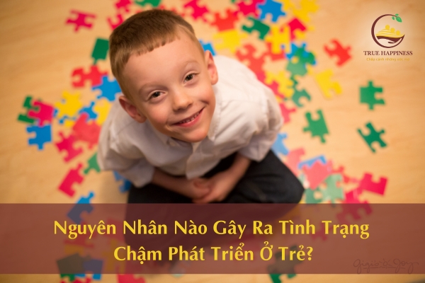 Nguyên Nhân Nào Gây Ra Tình Trạng Chậm Phát Triển Ở Trẻ?