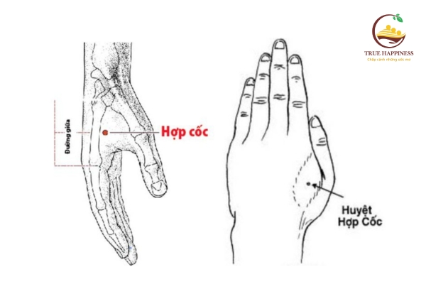 (Phần 1) Cách Bấm Huyệt Chữa Chậm Nói Cho Trẻ